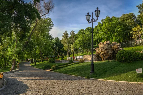 Professional Tree Service Professional Tree Service