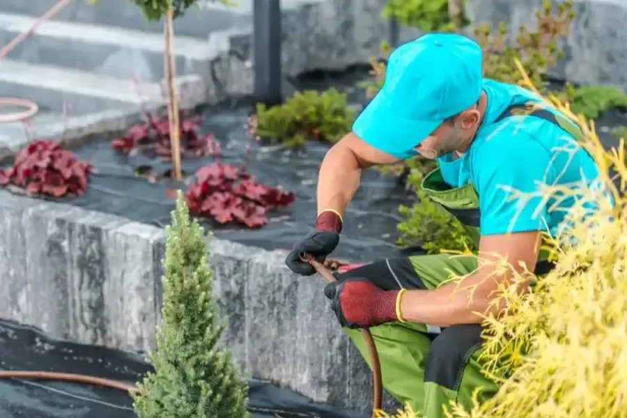 Affordable Landscaping Services Pine Hills, FL Affordable Landscaping Services Pine Hills, FL