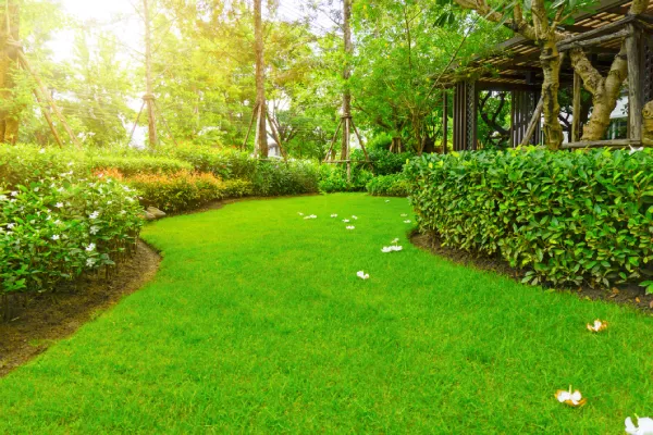 Landscaping Services