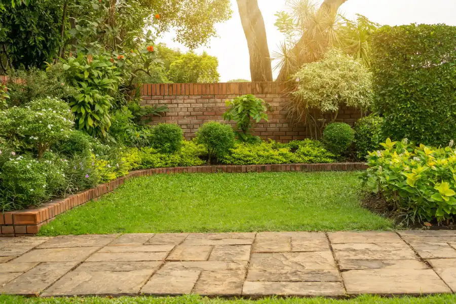 Professional Landscaper in Pine Hills, FL Professional Landscaper in Pine Hills, FL
