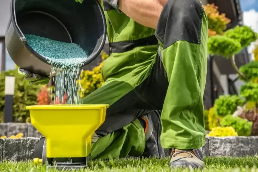 The Benefits Of Combining Landscaping Services With Tree Care Pine Hills, FL The Benefits Of Combining Landscaping Services With Tree Care Pine Hills, FL