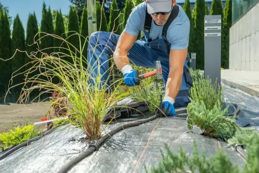 The Benefits Of Combining Landscaping Services With Tree Care in Pine Hills, FL The Benefits Of Combining Landscaping Services With Tree Care in Pine Hills, FL