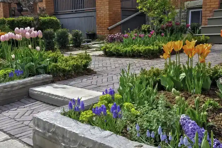 Top-rated Landscaping Services Pine Hills, FL Top-rated Landscaping Services Pine Hills, FL