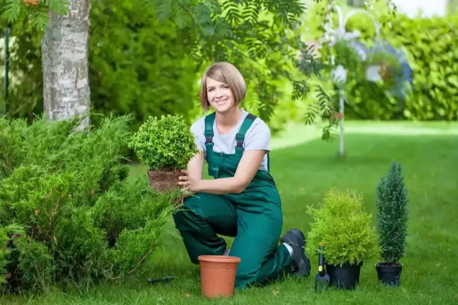 What To Consider Before Hiring Landscaping Services For Your Property Pine Hills, FL What To Consider Before Hiring Landscaping Services For Your Property Pine Hills, FL